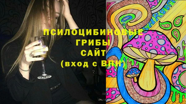 бошки Алзамай