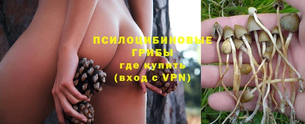 PSILOCYBIN Алексин