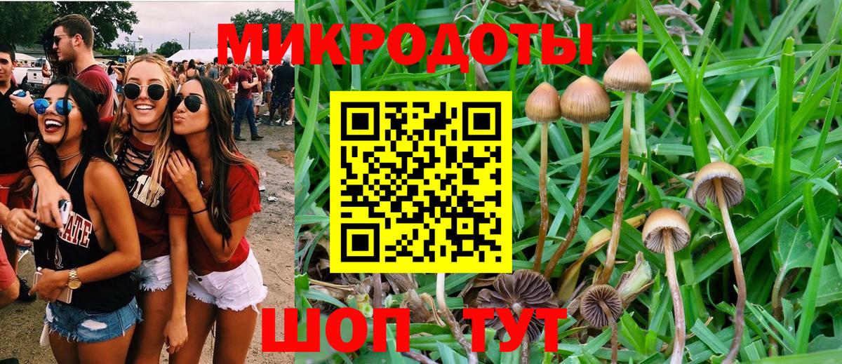 Галлюциногенные грибы мицелий Конаково